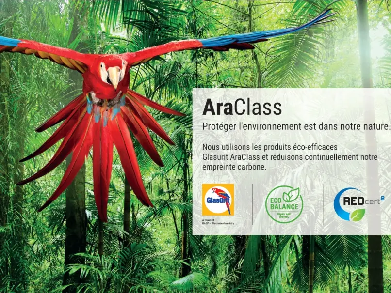Araclass CH-FR.jpg