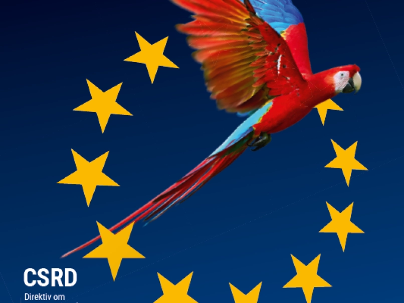 CSRD Forside DK